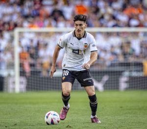 webpepelu8274_forCrop