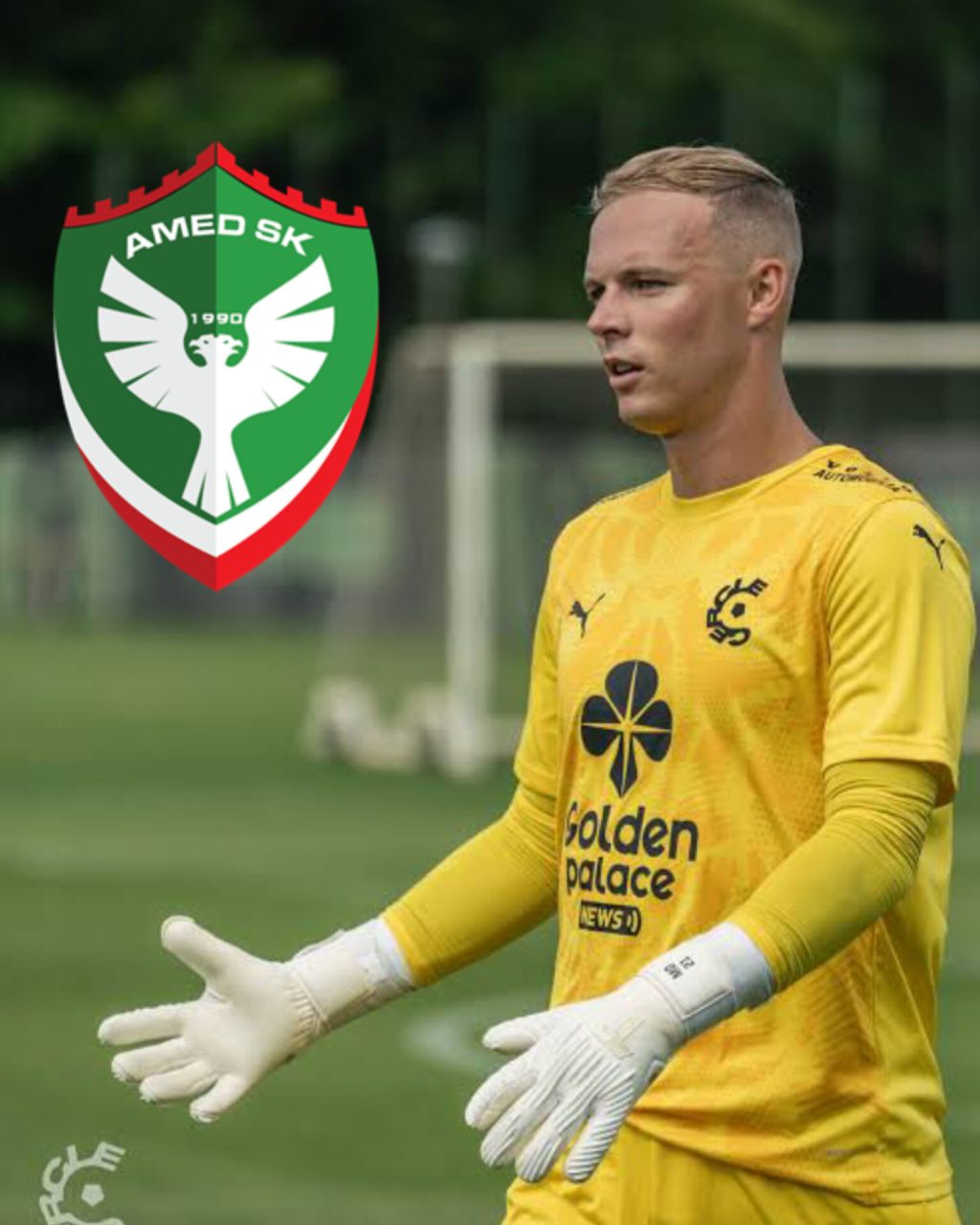 InShot_20260429_065550721