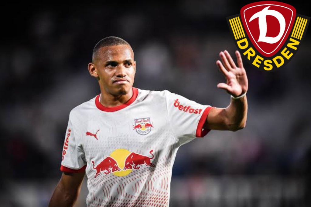 InShot_20260217_084128290