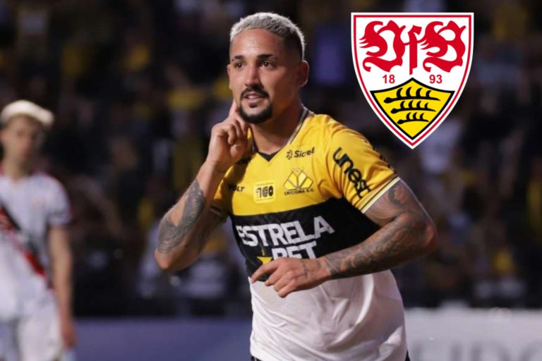 InShot_20260224_030710946