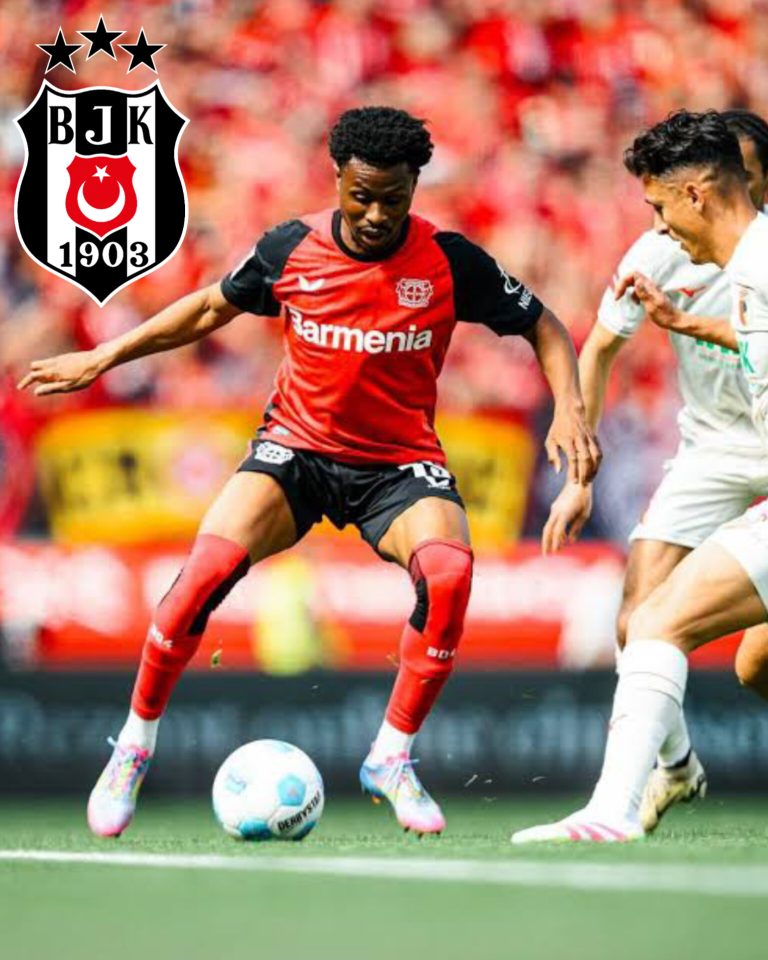 InShot_20260317_154820969