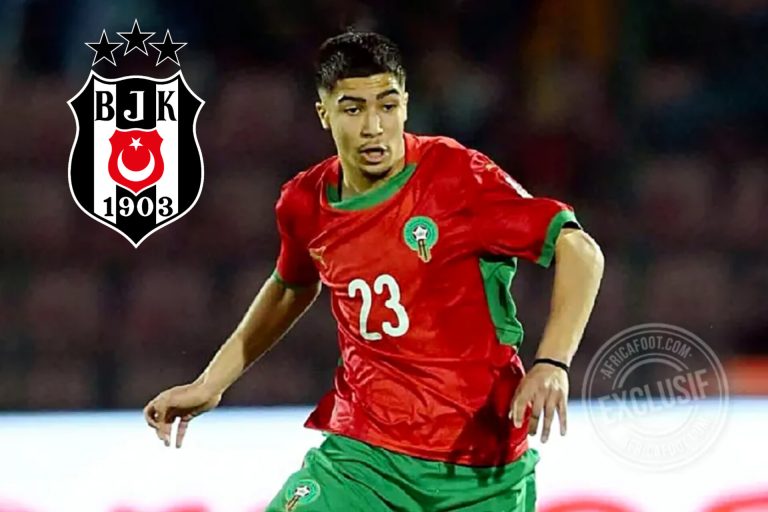 InShot_20260318_013514369