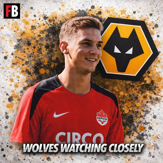 images - 2026-03-08T031000.504