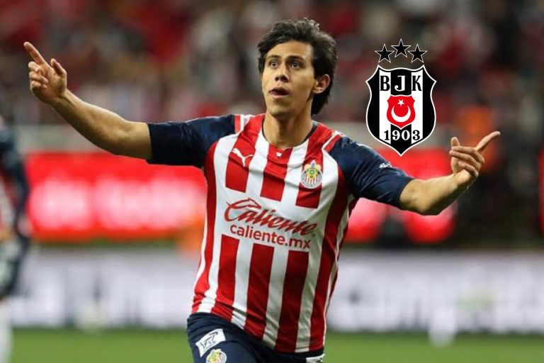 InShot_20260421_161844185